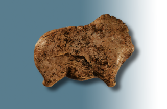 Bison figurine made of ivory, discovered in 1931 during excavations in Vogelherd.